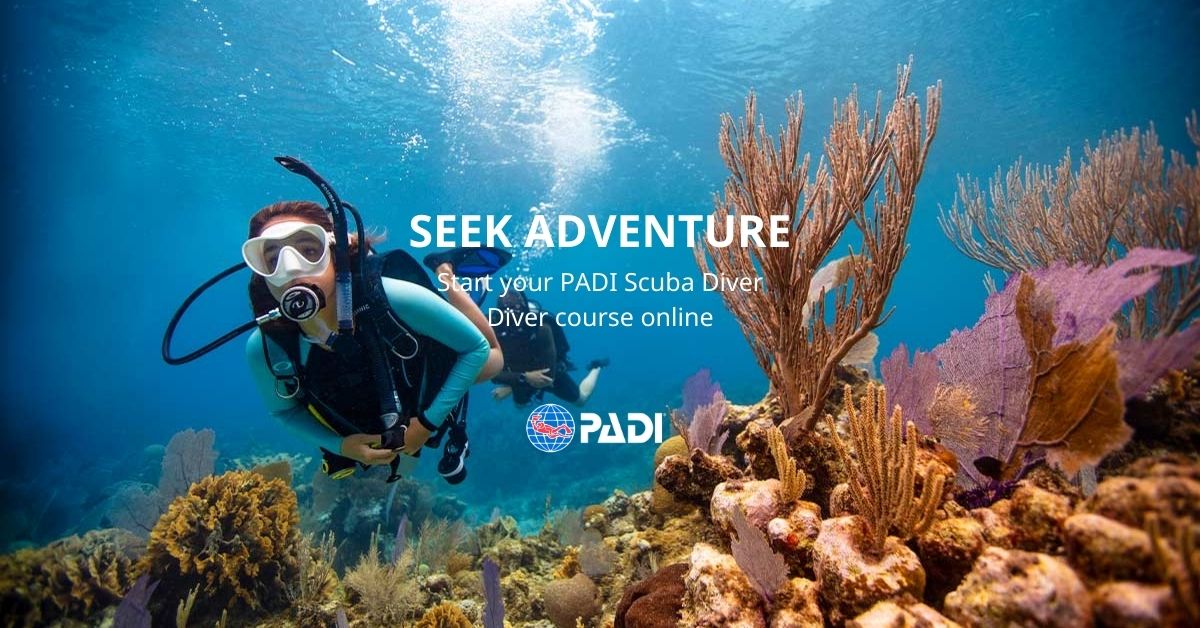 Sailing Club Divers Nha Trang PADI Scuba Diving Center ONLINE Learning